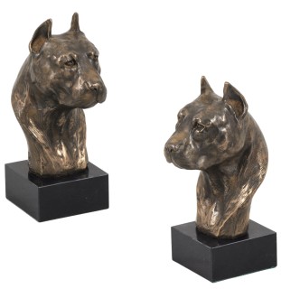 Amerykański Staffordshire terrier głowa na kamieniu Art-Dog